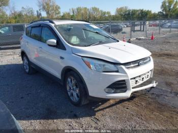  Salvage Ford Escape