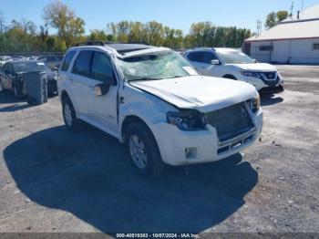  Salvage Mercury Mariner