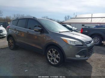  Salvage Ford Escape