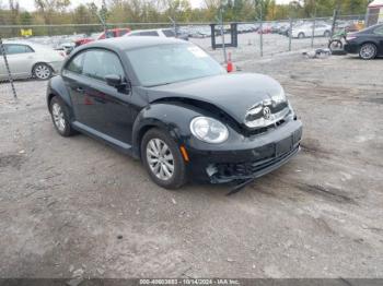  Salvage Volkswagen Beetle