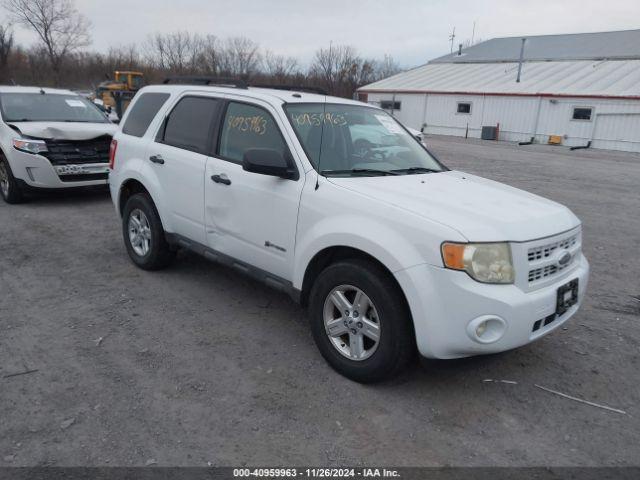  Salvage Ford Escape