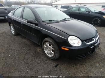  Salvage Dodge Neon