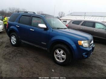  Salvage Ford Escape