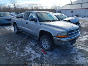  Salvage Dodge Dakota