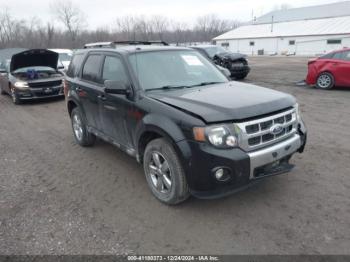  Salvage Ford Escape