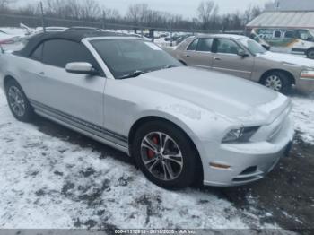  Salvage Ford Mustang