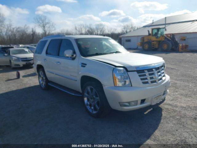  Salvage Cadillac Escalade