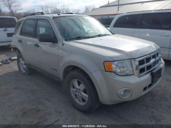  Salvage Ford Escape