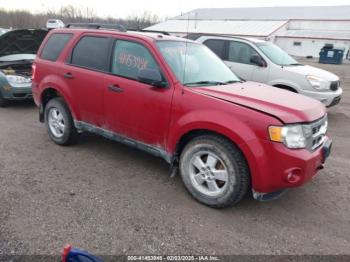  Salvage Ford Escape