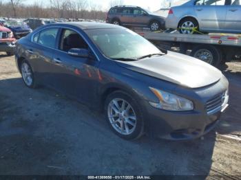  Salvage Nissan Maxima