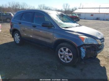  Salvage Honda CR-V