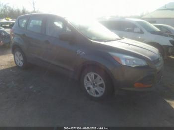  Salvage Ford Escape