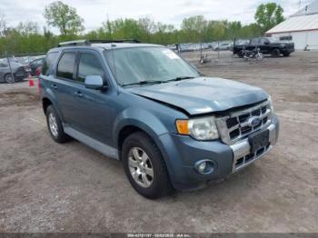  Salvage Ford Escape