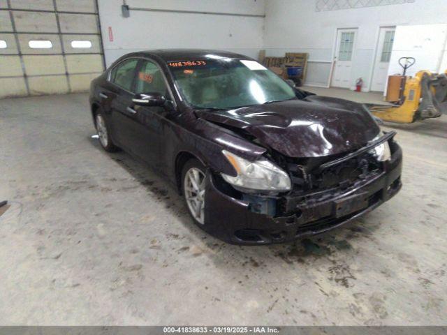  Salvage Nissan Maxima