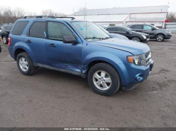  Salvage Ford Escape