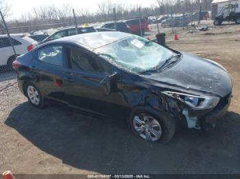  Salvage Hyundai ELANTRA