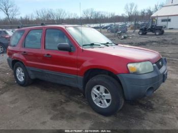  Salvage Ford Escape