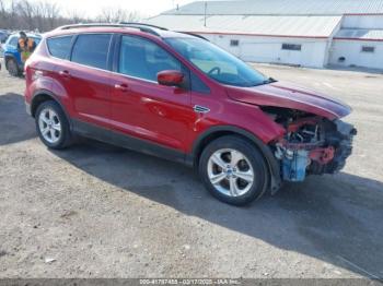  Salvage Ford Escape
