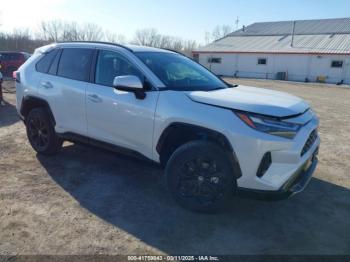  Salvage Toyota RAV4