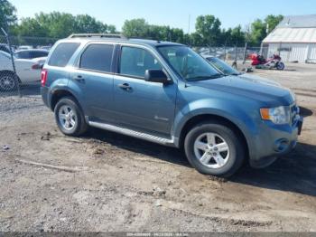  Salvage Ford Escape