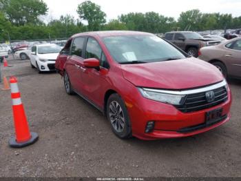  Salvage Honda Odyssey