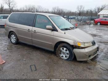  Salvage Honda Odyssey