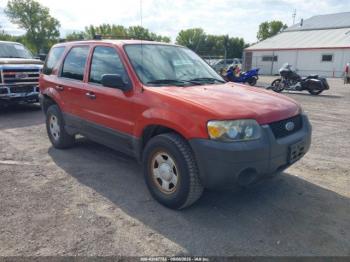  Salvage Ford Escape