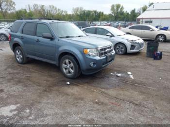  Salvage Ford Escape
