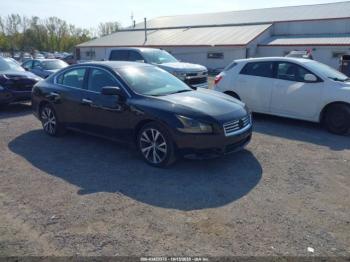  Salvage Nissan Maxima