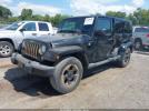 Jeep Wrangler Dragon Edition Image 5