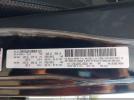 Jeep Wrangler Dragon Edition Image 16