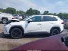 Toyota RAV4 Xle Image 11