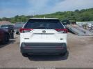 Toyota RAV4 Xle Image 15