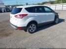 Ford Escape Se Image 3