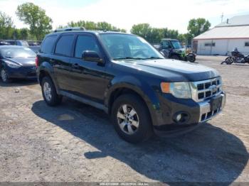 Salvage Ford Escape