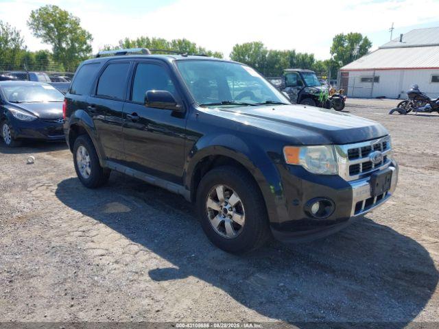  Salvage Ford Escape