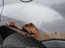 Ford Escape Image 10