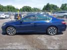 Honda Accord Ex-l Image 11