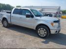 Ford F-150 Platinum Image 1