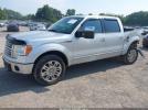 Ford F-150 Platinum Image 2
