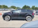 Ford Edge Limited Image 7