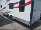 Cruiser 245 Image 18