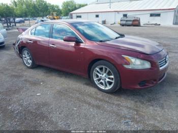  Salvage Nissan Maxima