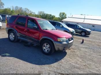  Salvage Ford Escape