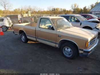  Salvage Chevrolet S Truck