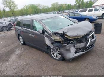  Salvage Honda Odyssey