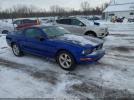 Ford Mustang Image 1