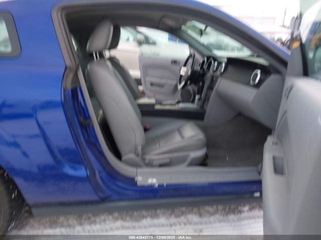 Ford Mustang Image 2