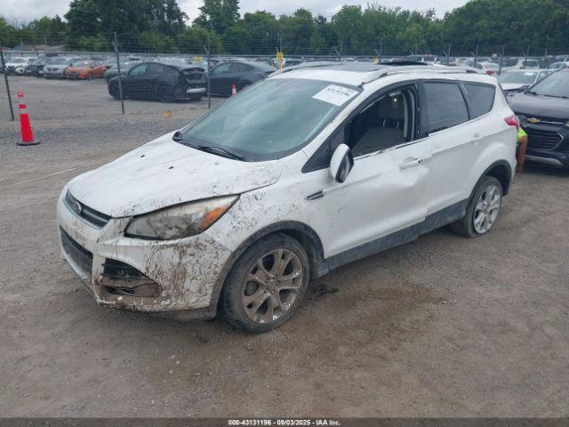 Ford Escape Titanium Image 13