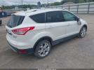Ford Escape Titanium Image 14